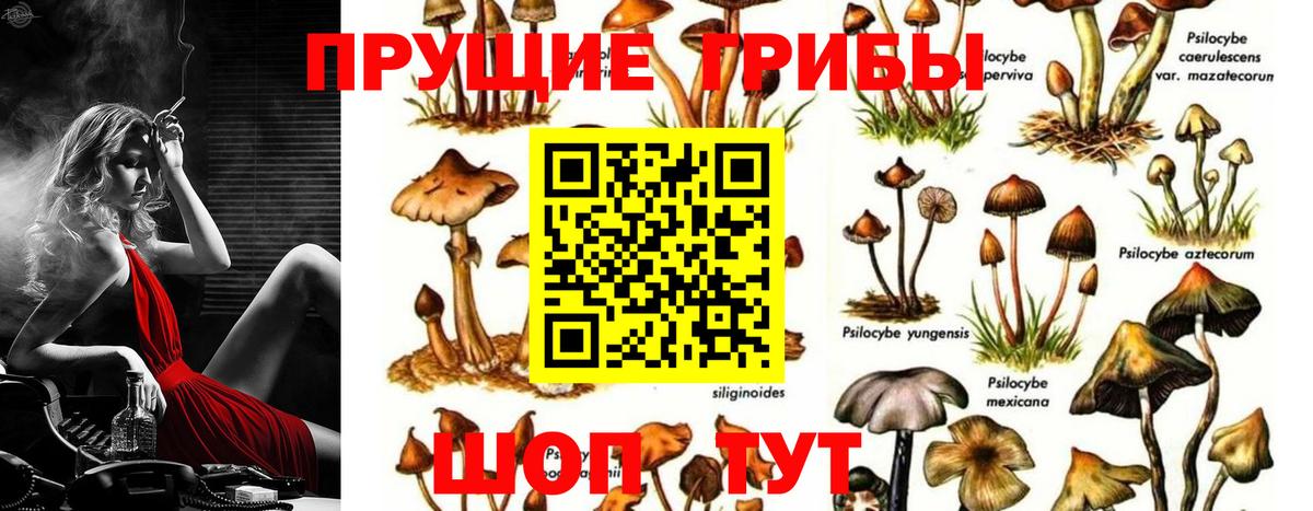 Псилоцибиновые грибы Magic Shrooms  Псилоцибиновые грибы мицелий  цена   Джанкой  Вход с VPN 